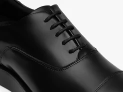 Wolf & Shepherd Closer™ Oxford><noscript><img width=