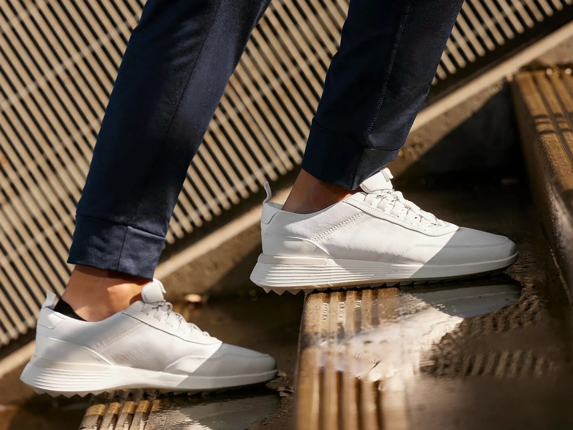 Wolf & Shepherd Crossover™ Trainer WTZ> Trainers | Hybrid Dress