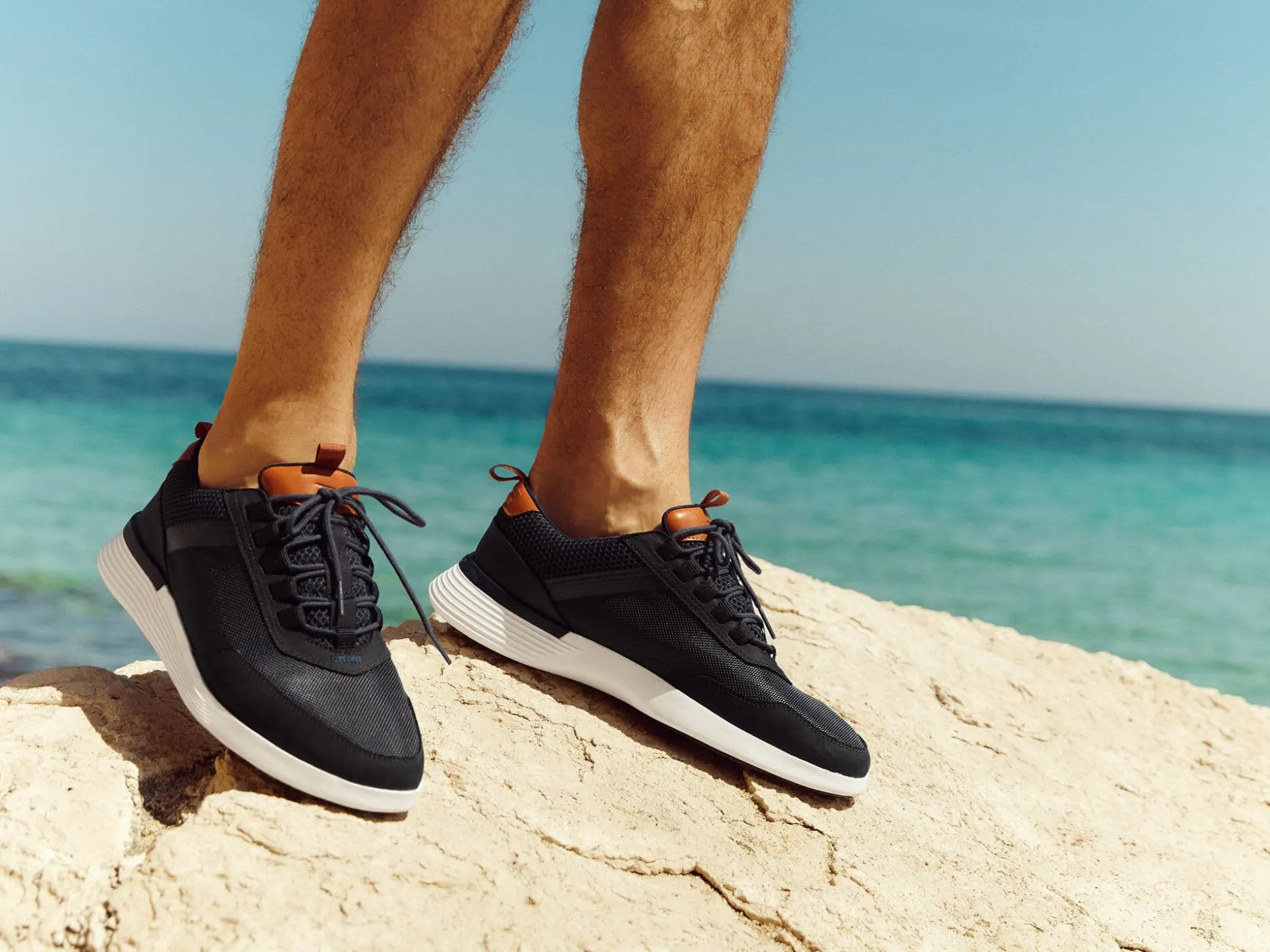 Wolf & Shepherd Crossover™ Victory Trainer> Trainers
